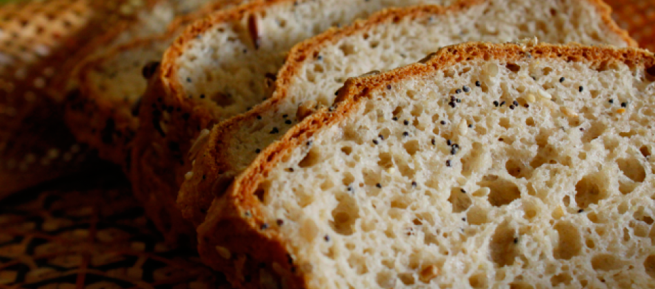 Banner 1