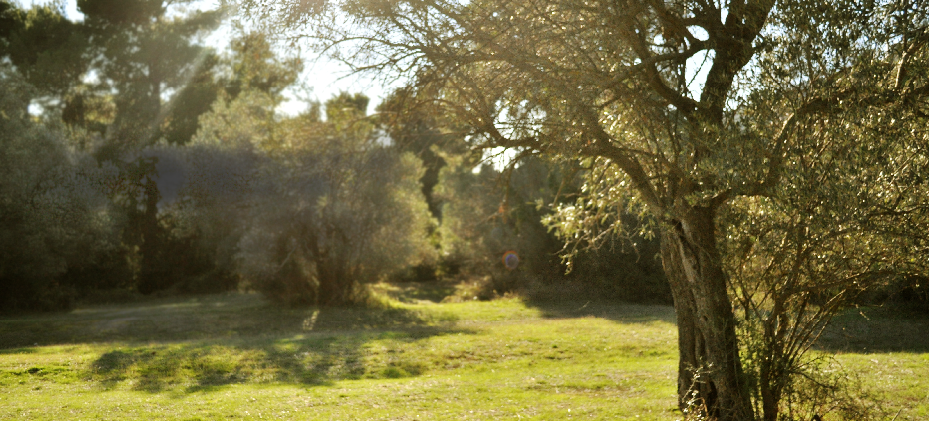 Banner 1